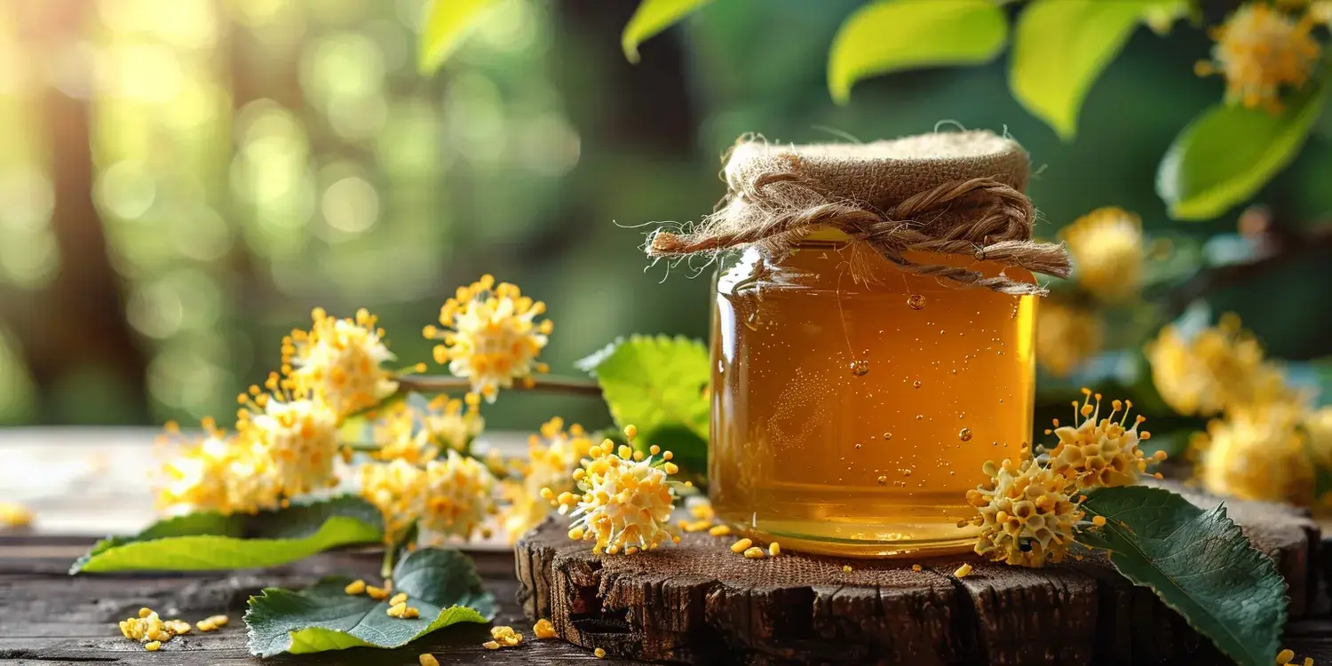 Miód wrzosowy na co jest?