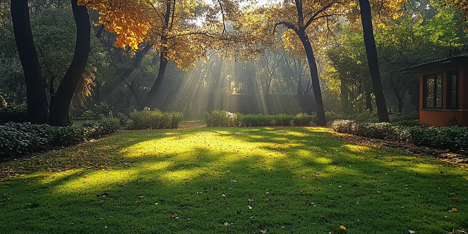Co lepsze trawa z rolki czy siana?